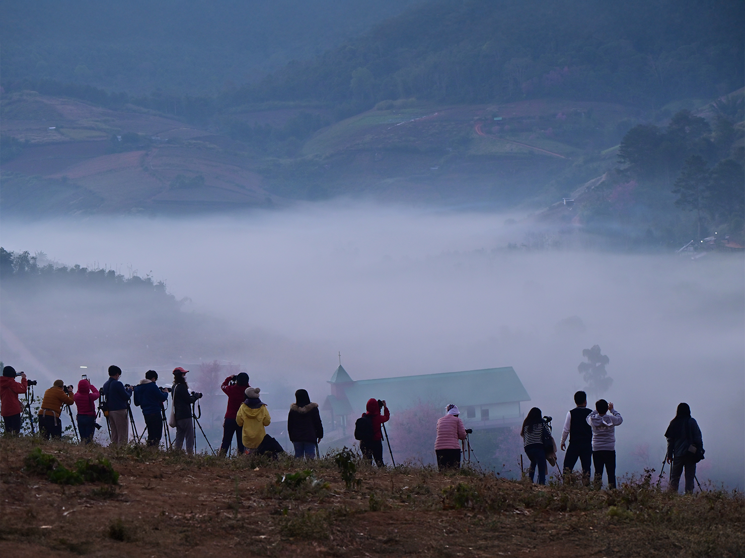 Phu Hin Rong Kla: A Mountain of Memories