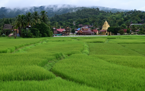 Discover Ban Sang Pa A Hidden Gem in Na Haeo, Loei