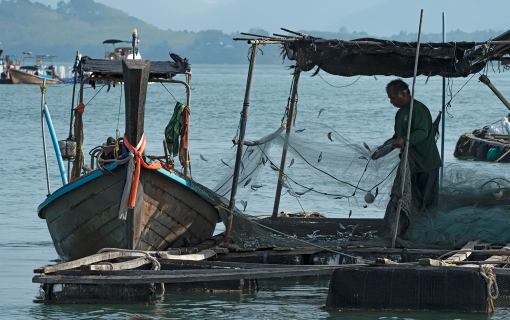 Vibe with the Chill Vibes of Koh Yao Noi – Your Next Adventure with Pacific Leisure