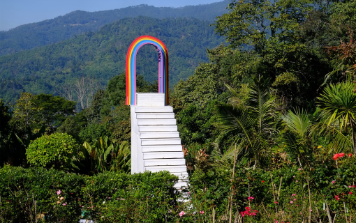 A Winter Sanctuary of Beauty and Purpose at Mae Fah Luang Garden