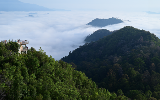 Discover the Magic of Betong