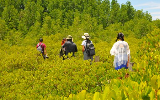 Off the Grid & Into the Vibe: Pak Nam Prasae Edition