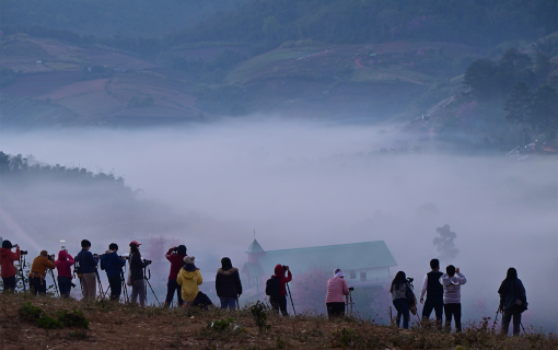 Phu Hin Rong Kla: A Mountain of Memories